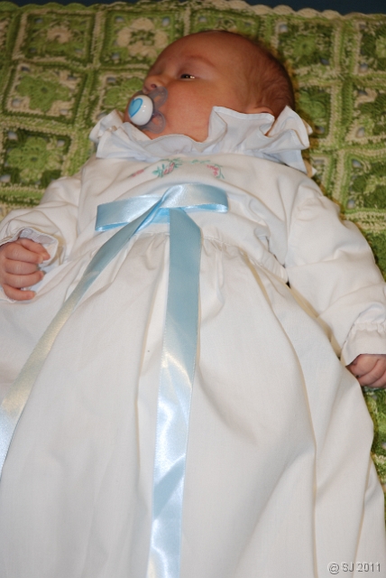 DSC_8008.JPG