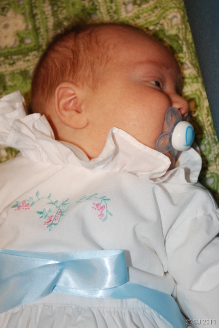 DSC_8037.JPG