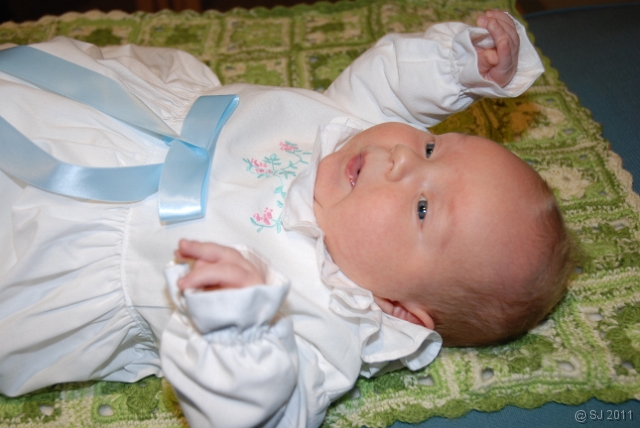 DSC_8044.JPG