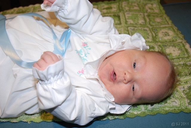 DSC_8046.JPG