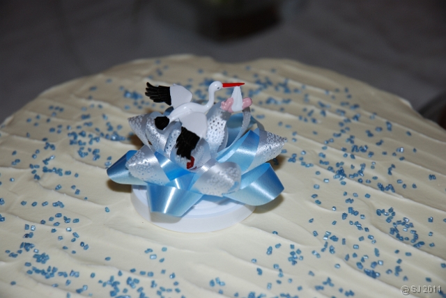 DSC_8075.JPG